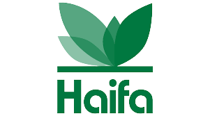 haifa